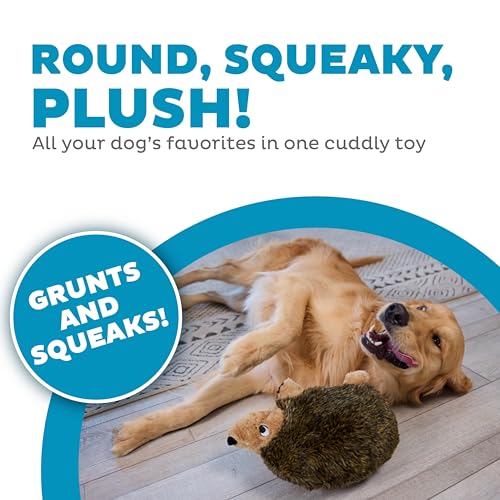 Outward Hound Hedgehogz Plush Dog Toy, Squeaks & Grunts, Large, 12" x 7" | Soft Realistic Faux Fur, Round for Rolling & Chasing, Cuddle & Carry, Interactive Fetch, Light Chewers, Dogs & Puppies - size: Large (Pack of 1)