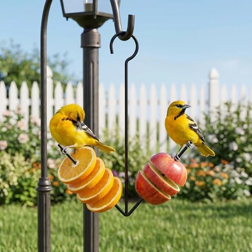 2 Pack Oriole Feeder for Outdoors Hanging, Fruit Feeder with 2 Prongs for Oriole and Wild Birds, Black with Hook, Garden Patio