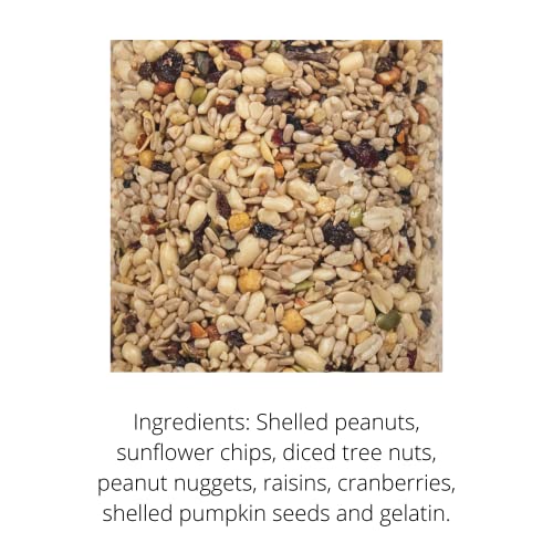 JCs Wildlife Woodpecker Blend Bird Seed Cylinder with Hole, Peanuts Pecans Pumpkin Seeds Berries, No Filler Wild Bird Food for Outside Feeders, Made in the USA, 1 Count (Pack of 2) - size: 1 Count (Pack of 2)