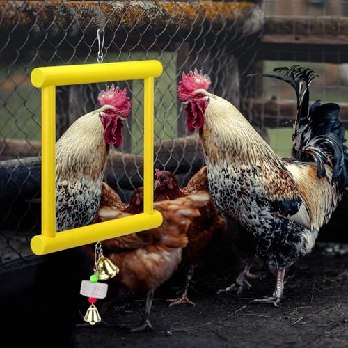1 Pcs Chicken Mirror Toys Large 12x10 Inch Hanging Swing Mirror with Bell | Wooden Pecking Toy and 2 Pieces Beak Grinding Molar Stones for Hens Birds Parrots Coop Roosters(Yellow)