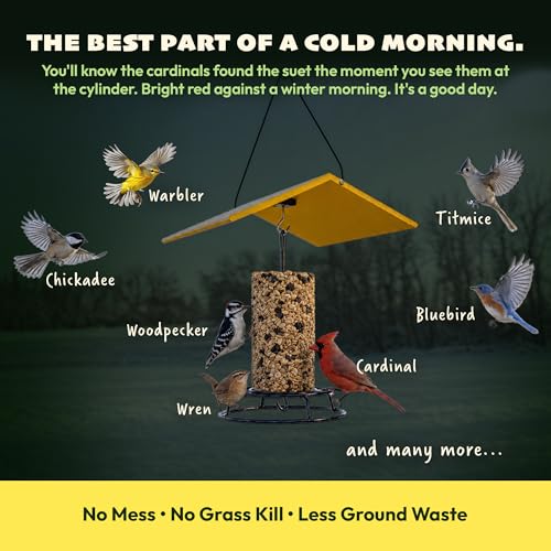 JCs Wildlife No Mess No Waste Fruit Blend Bird Seed Cylinder with Hole, Hull Free Wild Bird Food for Outside Feeders, Cardinals Woodpeckers Chickadees Nuthatches Wrens, Made in the USA, 2 lb Pack of 2 - size: 2 Pound (Pack of 2)
