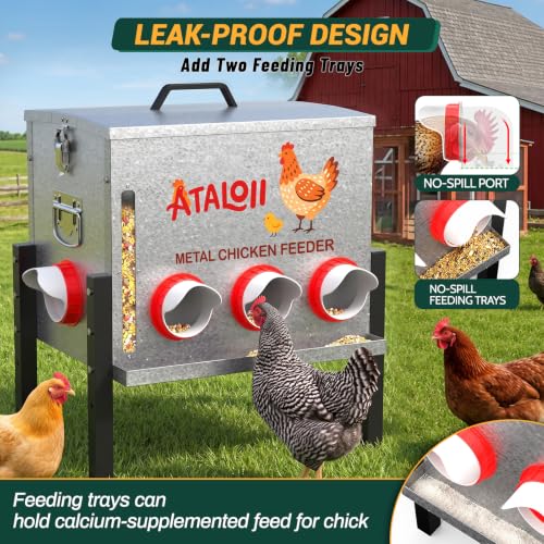 10gal 50LB Large Automatic Chicken Feeder with Window, Food Tray - No Waste | No Spill, Rust-proof Alloy Steel Poultry Feeder, Waterproof Metal Chicken Feeder for Indoor & Outdoor Chicken Coops (8 Ports - size: 10gal