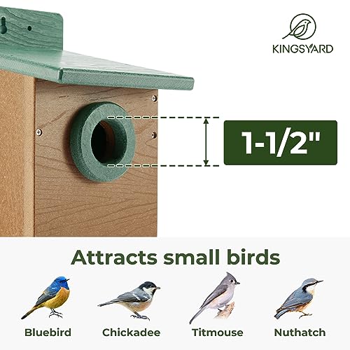 Kingyard Bluebird House, Outdoor Bird House with Predator Guard | Recycled poly lumber nesting box with a 1.5-inch entrance hole, clear viewing panel, bottom ventilation holes - color: Green