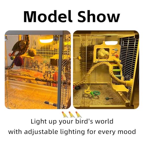MANON ROSA Bird Cage Lighting - Explosion-Proof Energy-Efficient LED Night Light with Adjustable Brightness for Conures Parakeets Cockatiels Lovebirds Budgies - Premium Birdcage Accessory
