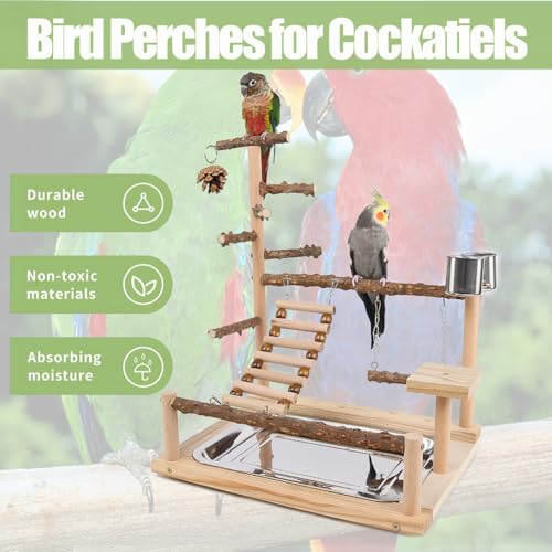 Natural Wooden Parrot Play Stand | Perch with Removable Tray, 2 Stainless Steel Cups & Swing | for Cockatiels, Budgies, Conures & Small Birds (2 Cup with Tray)