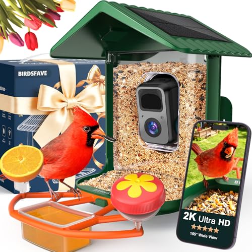 Bird Feeder with Camera Solar Powered 2K Video with 32GB Card Auto Capture | Instant App Alert, AI Identify, Easy Refill, 1.8L Capacity, IP65 Weatherproof, Pole/Bracket Mount, 3 DIY Add-ons, 2.4G Wifi - color: Green