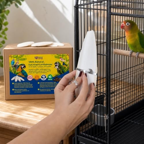 Birds LOVE 5.5-6″ Cuttlebones for Birds – 100% Natural Sun-Dried Calcium Carbonate Mineral Supplement – for Parakeets, Budgies, Cockatiels, Finches & Canaries – 4 lb with Holder – Made in Vietnam - size: 4 Pound (Pack of 1)