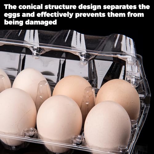 Plastic Empty Eggs Cartons 12 Count Clear Tray Bulk 120 Pack | 2x6 Grid Trays Egg Containers, Clear Stackable Fridge Storage for Chicken Farm, Market, Refrigerator, Restaurant Use