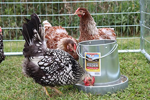 Miller 9112 12lb. Galvanized Hanging Poultry Feeder - size: 12 pounds