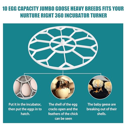 JGT360 Goose Egg Tray Fits Nurture Right 360 Incubator For Jumbo Goose Eggs | Maximum Capacity 10, Allows Easy Cleaning, Improve Hatch Rates, Quick Installation and Removal