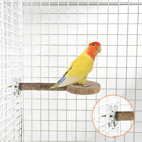 2 PCS Natural Wood Bird Perches for Cage, Multi-Branch Parrot Perch Stand with Fork & Platform, Cage Accessories for Parakeet Cockatiel Lovebirds Conures