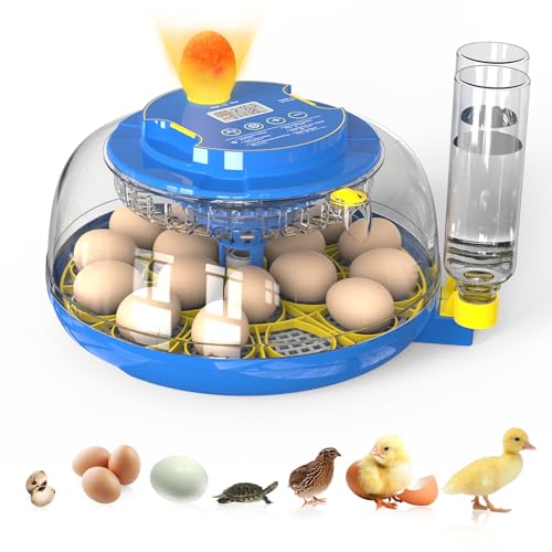 Incubators for Hatching Eggs Automatic Egg Incubator with Temperature Control Humidity Display 12 18 48 Egg Capacity for Chicken Duck Goose Eggs Digital Display Auto Turner 360° View (Blue, 18 Egg)