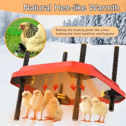Chick Brooder Heating Plate, Brooder Heater for Chicks, Adjustable Temperature Height Adjustable Brooding Heater, Brooder Heat Plate Warmer for Baby Chick Duckling (Red) - color: Red