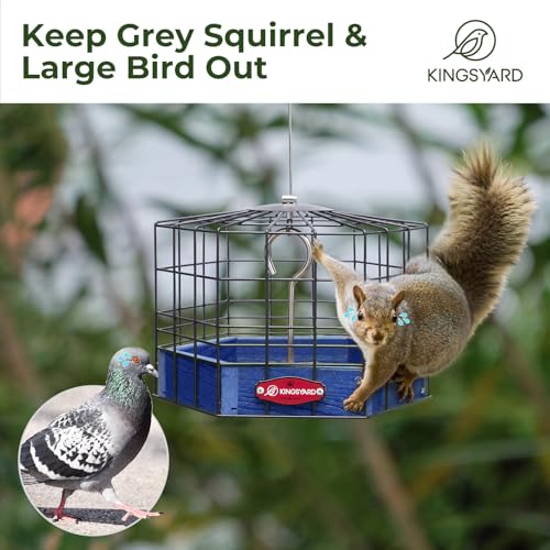 Kingsyard Squirrel Proof Platform Bird Feeder, Metal Mesh Tray | Recycled Poly Lumber Body, Great for Small Wildbirds Finches Bluebird Mealworm, Blue - color: Blue