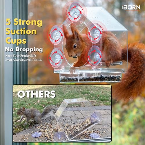 Window Bird Feeder, Wind-Proof Tray Lock, Chew-Resistant PC, Clear 1 PK | 5 Suction Cups, Sliding Tray, Extra Perch Ring, Weather-Resistant, Easy to clean, Durable for Outdoor