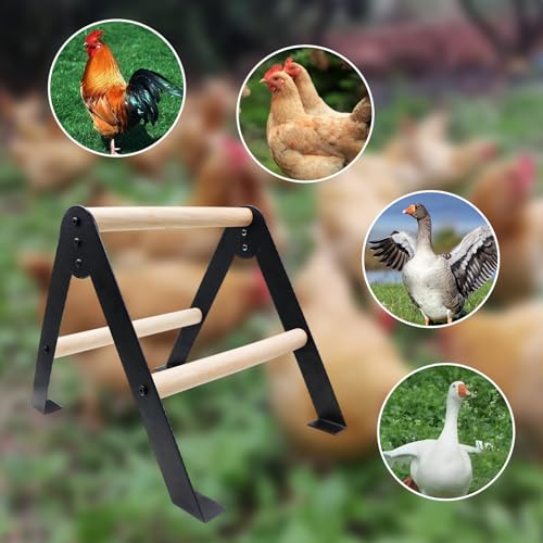 Chicken Roosting Bars, Wooden Perch with Metal Stand, Roosting Bars for Coop, Coop Accessories, Chicken Enrichment Toys