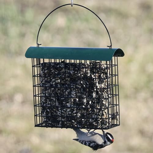 Large Suet Feeder - Metal Woodpecker Suet Cage w/Roof | Holds 1 Large Seed Cake. Metal Roof Keeps Suet Dry. Multiple Clinger Birds Feed at Once - Woodpeckers, Finches, Chickadees.
