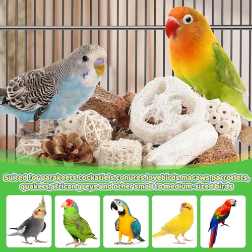Kyouki Bird Toys Parrot Toys Natural Bird Foraging Box Foot for Parakeets,Cockatiels,Conures,Love Birds,and Other Small to Medium Birds (Medium) - size: Medium