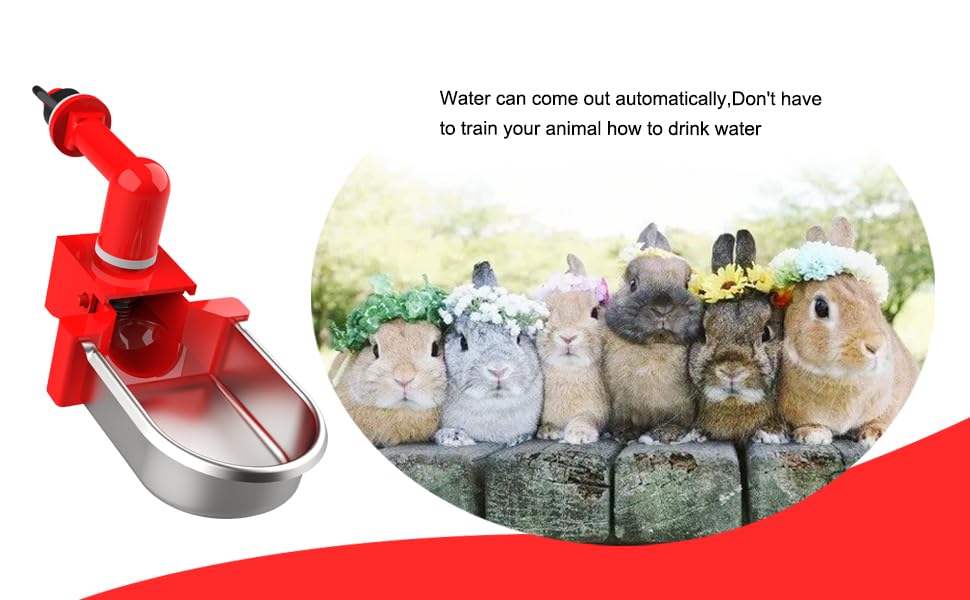 Metal Rabbit Chicken Water Cup Chicken Kettle DIY Rabbit Chicken Small Hamster Guinea Pig (Black, 6) - color: black, size: 6