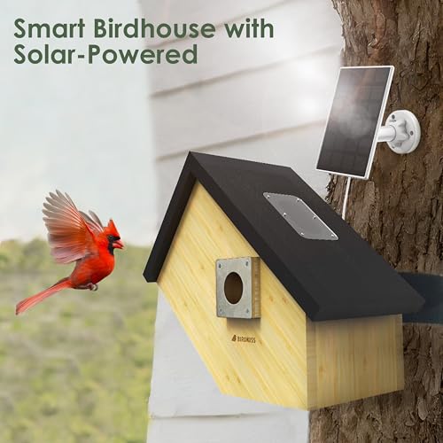 Smart Bird Houses for Outside Solar Powered, 1080P HD Live View Birdhouse with Camera, Perfect Viewing Bird Nesting and Hatching, Ideal Outdoors Bird House for Blue Bird and Cardinal (Black) - color: Black