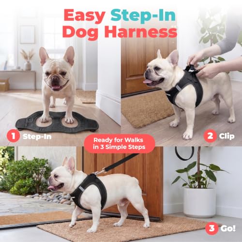 Voyager Step-in Air Dog Vest Harness - Black, Small | 14.5-16" in Chest, Reflective Bands, All Weather Breathable Air Mesh, Cats Compatible, Lightweight, Fast Drying - color: Harness (Black), size: S (Chest: 14.5 - 16")