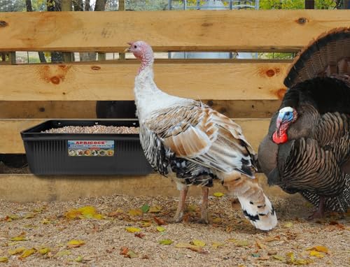 Large Feed Trough and Goat Feeder - 2 Pack Hanging Feeder with Clips, Waterer Bucket, Fence Feed Trough, Goat Supplies, 10 Quart - color: Black