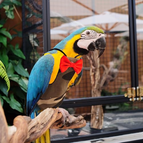 Bird Diaper Washable Reusable Parrot Flight Suit Nappies Protective Breathable Parrot Nappy Clothes for Parakeet, Macaw, Budgie, Canary, Cockatiel (Camouflage, Small) - size: Small