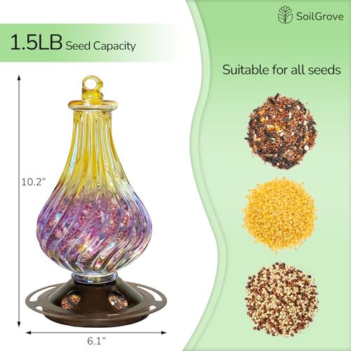 Glass Bird Feeder for Outdoors Hanging – Lantern Shape with Hook, Waterproof Wild Bird Feeder for Seeds, Outside and Garden Decoration