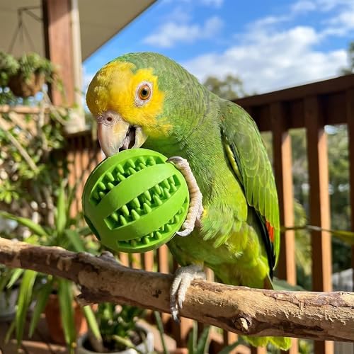4 Pcs Parrot Feeder Chew Toy Balls, Bird Foraging Interactive Toys for Small & Medium Birds, Parakeet, Parrots, Lovebirds, Macaws, Hamsters, Guinea Pigs