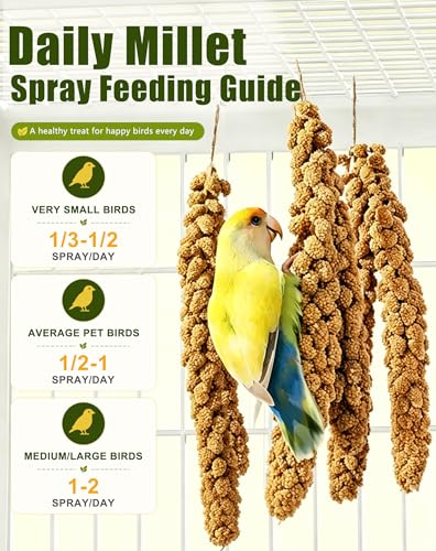 TINYFIELD Millet Spray for Birds, Parakeet Budgie Cockatiel Parrot Treats Snacks (0.5 Pound) | Real Fish Included, Seeds & Nuts Blend