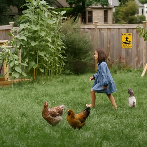 Smilelife Funny Chicken Gifts Caution Area Patrolled By A Crazy Chicken Lady Tin Sign for Home Farm Chicken Coop Farmhouse Kicthen Garden Decor 8 X 12 Inch (3620) - color: Yellow