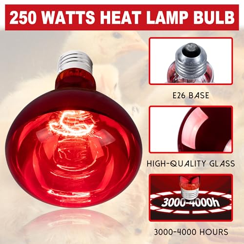 250 Watt Heat Lamp Bulbs for Chicks, R40 Heat Lamp for Chickens, Infrared Heat Bulbs for Brooder Heater, 250W Incandescent Heat for Pet, Bathroom, Food (2 Pack)