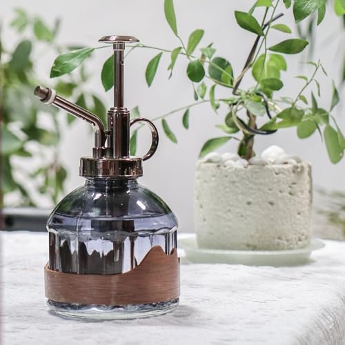 Plant Mister Spray Bottle Vintage Glass Fine Mist Spritzer 6.7OZ | Gray Spray Bottles, Misters Mini Watering Can Glass Sprayer Misting for Garden Plants Indoor Outdoor Decor Cleaning - color: D-Distant Hill