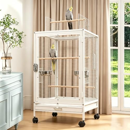 xixi-home Portable Clear Parrot Cage,Bird Travel Cage Ornamental Cage -with Food Box,Standing Pole and Drinker,Large Bird cage Flying Birdcage for Outdoors (Type B - White) - color: White - B