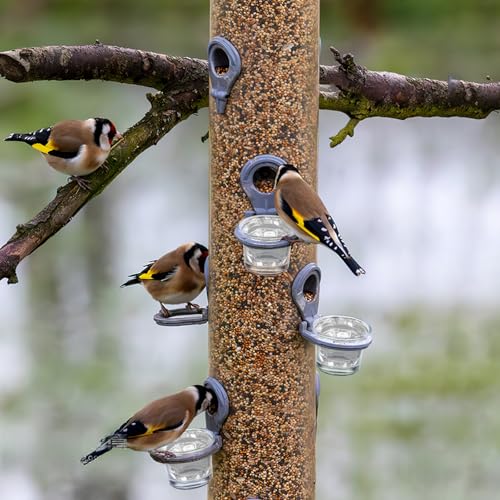 Sewroro Glass Bird Feeder Cup for Outdoors Hanging Window Bird Feeder Accessory Part for Balcony and Garden
