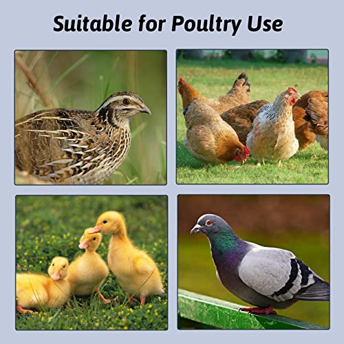2PCS Pigeon Feeder, Bird Dispenser Slot Container, Poultry Plastic Thick Trough Dish Less Waste with Removable Steel Wire Partition for Pigeons Quails Birds Chicks Ducklings - size: L:15.7 x 4 x 3 inches