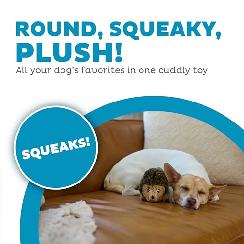 Outward Hound Hedgehogz Plush Dog Toy, Squeaks, Small, 6" x 4.5" | Soft Realistic Faux Fur, Round for Rolling & Chasing, Cuddle & Carry, Interactive Fetch, Light Chewers, Dogs & Puppies - size: Small (Pack of 1)