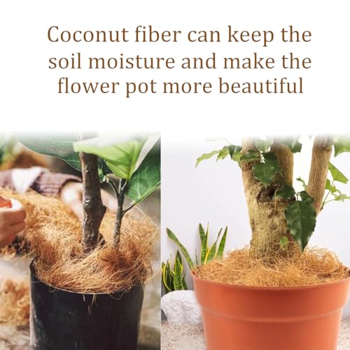 Long Coconut Husk Fiber Mulch Silk for Orchids Clean Coconut Shell Moss Covering 0.22 Pounds - size: 100 grams/0.22 pounds