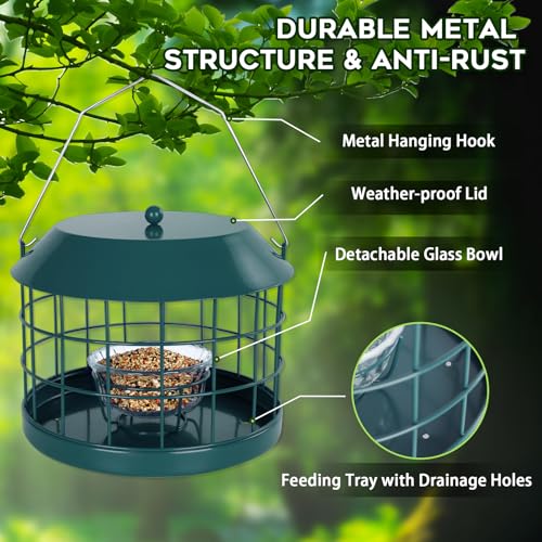 Gbekery Caged Bluebird Feeder for Mealworms with Glass Bowl, Squirrel Proof Bird Feeder for Small Birds Only, Detachable Hook, Large Space, Outdoors Weatherproof, Metal, Green - style: Green Glass Bowl