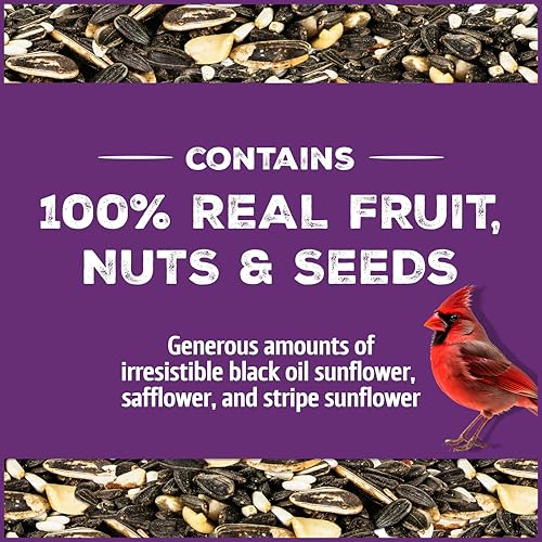 Pennington Songbird Nut & Fruit Blend Wild Bird Seed for Outside Feeders | Songbird bird seed for outside feeders, advanced nutrition formula with real fruit, nut & seeds, birdseed for wild birds