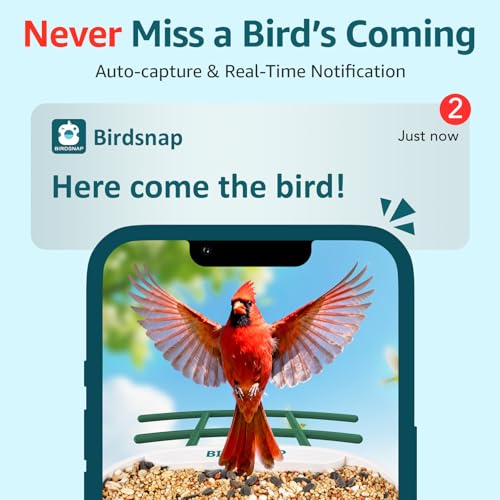 birdsnap® TUC Bird Feeder with Camera Solar Powered 2K Video with 32GB Card | AI Bird Species Identification, Squirrel-Proof, IP65 Waterproof, Outdoor Wireless, 2.4G WiFi, Gift for Mom Dad Bird Lovers - color: Yellow