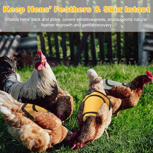 M METERXITY 4-Pack Chicken Saddle for Hens, 9.8 Inch Canvas Chicken Apron Back Protector with Adjustable Strap for Protecting Bird Back Feathers, Poultry Saver [Gray] - color: Gray