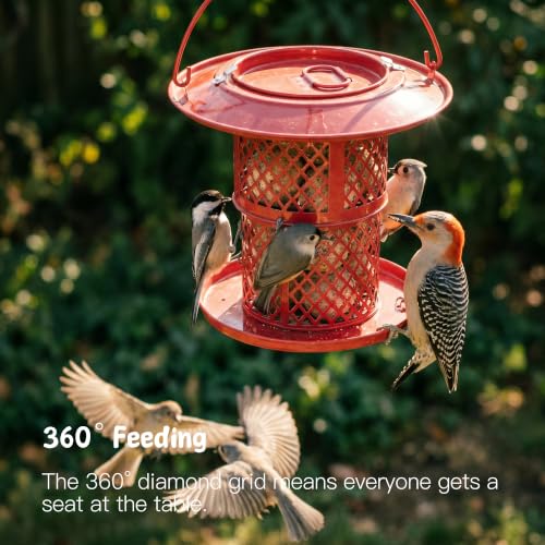 KOL Metal Suet Ball Feeder for Birds – Single-Layer Expandable Design Suet Bird Feeder, Heavy-Duty Wild Bird Feeder with Secure Lid, Large Capacity for Backyard (Red) - color: Red