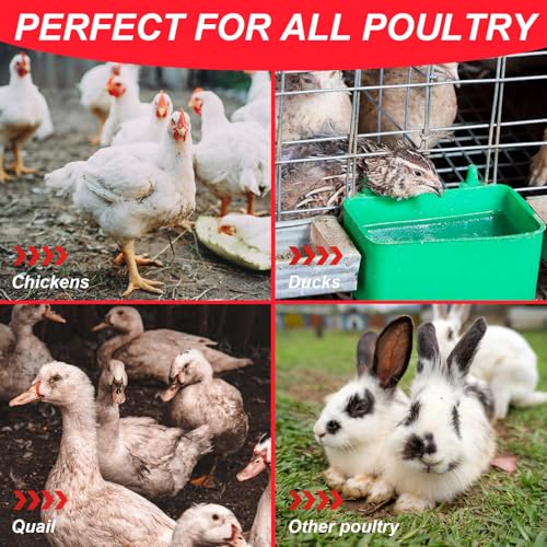 Tanlade 100 Pack Chicken Water Nipples Horizontal Automatic Chicken Waterer Nipples with Drill Bits, Gaskets & Wing Nuts for Chicks, Ducks, Quails, Hens & Poultry Coop Farm Use
