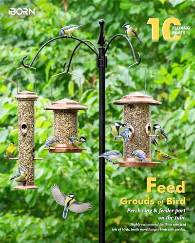 iBorn Metal Bird Feeder for Outside Hanging,Wild Bird Feeders for Cardinal,17.8cm Large Roof&Tray Copper-Plating 10 Port(Seed is not Included) - color: Copper-Plating,2.8LB,10Port