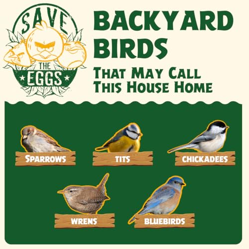 Angry Birds x WildYard DIY Birdhouse Kit - Cedar, Paint Your Own | Build and paint a cedar birdhouse for kids and adults, includes paint set and stencils for backyard birds.