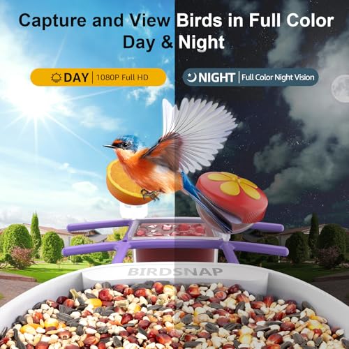 birdsnap® PAV Bird Feeder with Camera Solar Powered 2K Live Video 64GB Card | AI Bird Species Identification, Instant Arrival Alerts, IP65 Waterproof, Wild Bird Feeders for Outdoors, Gift for Bird Lovers - color: Purple