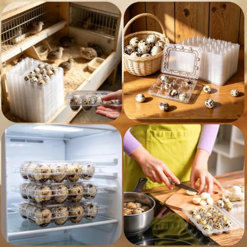 60Pcs Quail Egg Cartons,Square Dozen Egg Boxes 12 Grids Clear Plastic Quail Egg Cartons Stackable Trays for Quail Eggs, Pigeon Eggs, Small Poultry, for Home Fridge Storage, Farm, Market