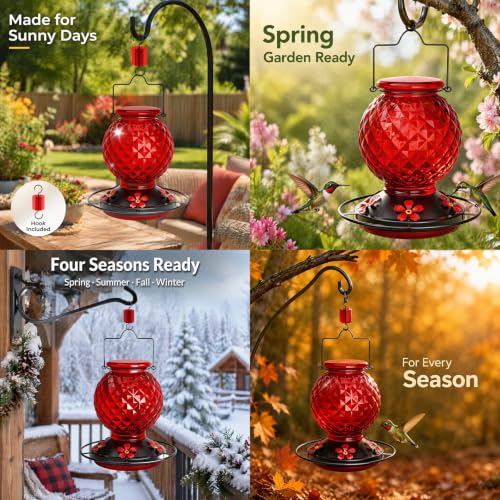 Glass Hummingbird Feeder for Outdoors, 20 Oz Bird Nectar Feeder with Ant Moat, Hummingbirds Feeders for 4 Feeding Ports, Hanging for Garden Backyard Decor (Red)