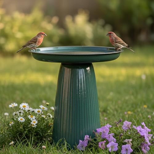 Sunnydaze Modern Bird Bath for Outside, Iron, 23” H, Green Glaze | UV & Rust-Resistant Matte Finish, Durable Iron,1 Gal Water Cap, Outdoor Birdbath for Garden, Pedestal Bird Bath with Bowl - color: Green Glaze